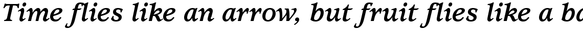 ITC Usherwood Bold Italic
