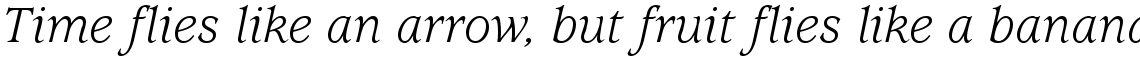 ITC Usherwood Book Italic