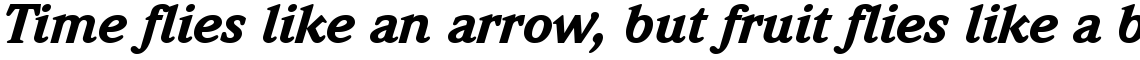ITC Weidemann Black Italic