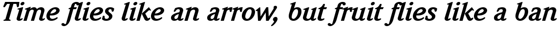 ITC Weidemann Bold Italic