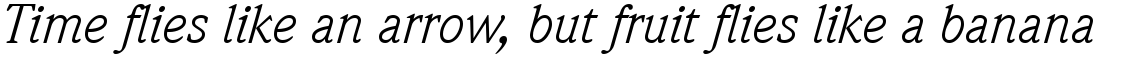 ITC Weidemann Book Italic