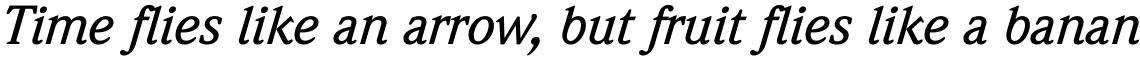 ITC Weidemann Medium Italic