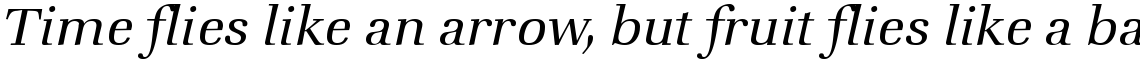 ITC Zapf Book Light Italic