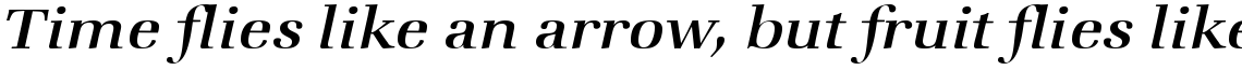 ITC Zapf Book Medium Italic