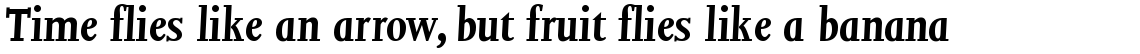Joanna Bold Italic