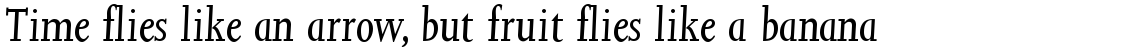 Joanna Italic