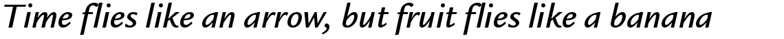 ITC Legacy Sans Medium Italic
