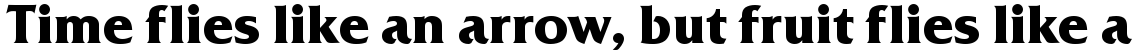 Friz Quadrata Bold