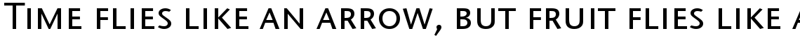 ITC Stone Sans Medium