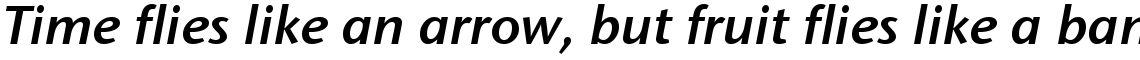 ITC Stone Sans Semibold Italic