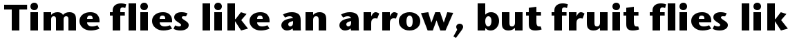 ITC Stone Sans Bold