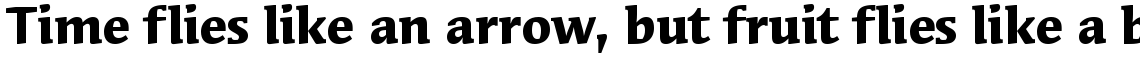 ITC Syndor Bold