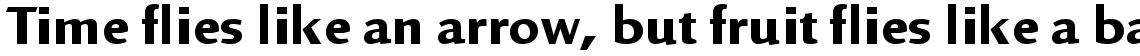 Linex Sans Bold