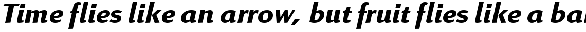 Linex Sans Bold Italic