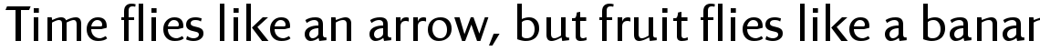Linex Sans Light