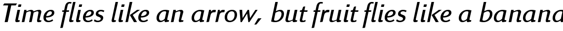Linex Sans Light Italic