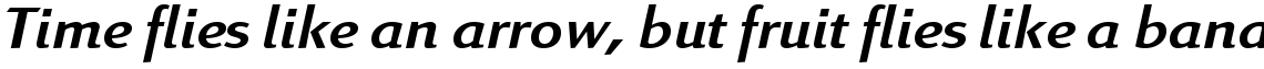 Linex Sans Italic