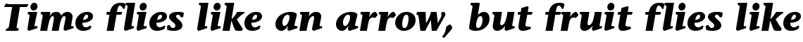 ITC Stone Informal Bold Italic OsF