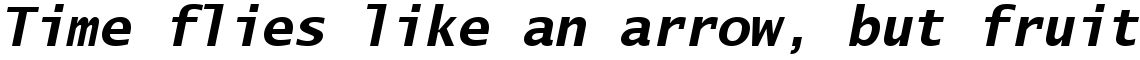 Lucida Sans Typewriter Bold Oblique