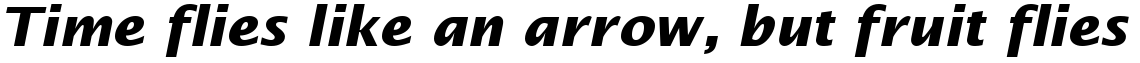 Lucida Sans Bold Italic