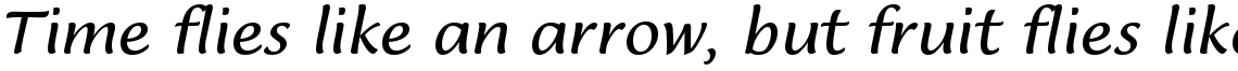 Lucida Casual Italic