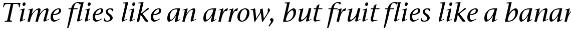 ITC Stone Serif Medium Italic