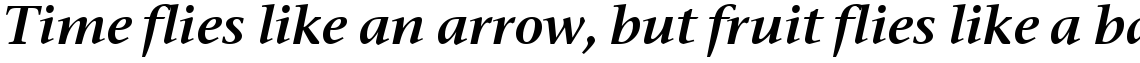 ITC Stone Serif Semi Bold Italic