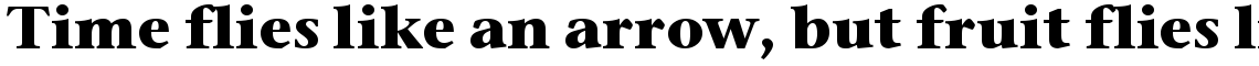 ITC Stone Serif Bold
