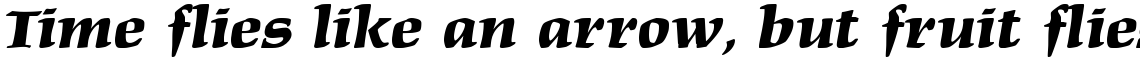 Maidenhead Black Italic
