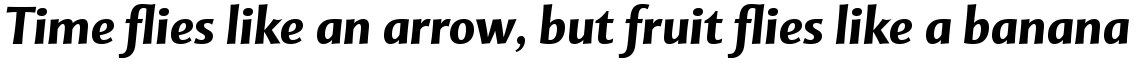 Mentor Sans Bold Italic