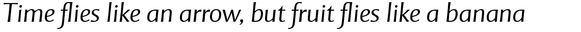 Mentor Sans Light Italic