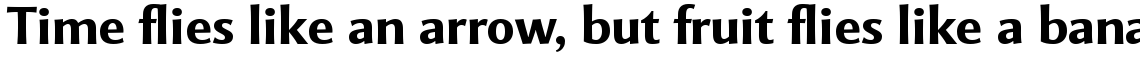 Mentor Sans Bold