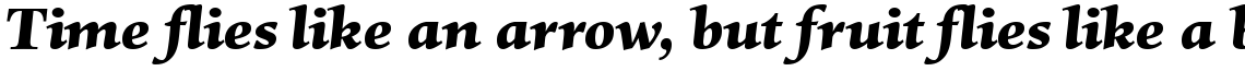 Mentor Black Italic
