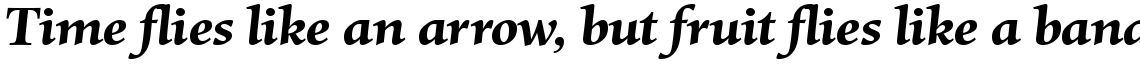 Mentor Bold Italic