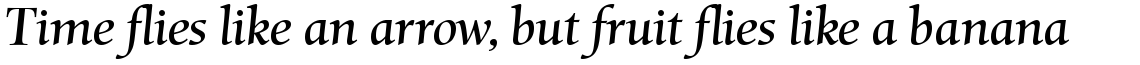 Mentor Italic