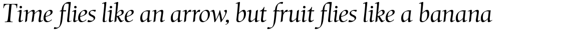 Mentor Light Italic