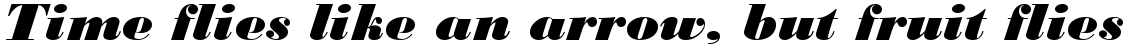 Monotype Bodoni Black Italic