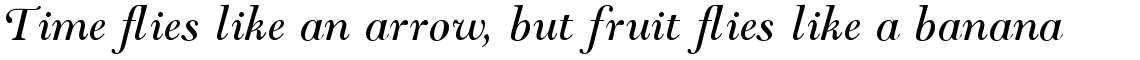 Monotype Goudy Modern Italic