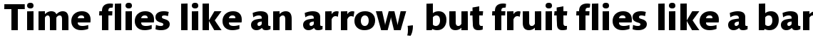 Mundo Sans Bold