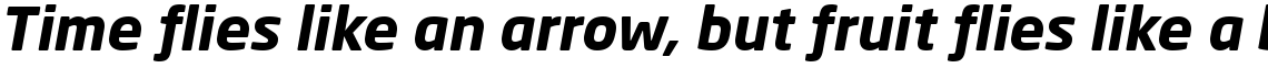 Neo Sans Bold Italic