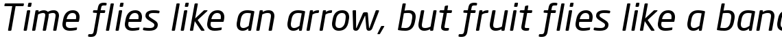 Neo Sans Italic