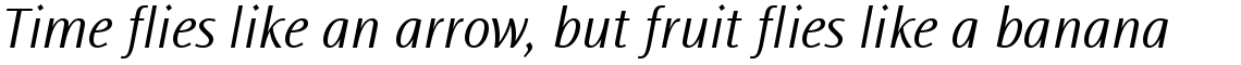 Ocean Sans Light Italic