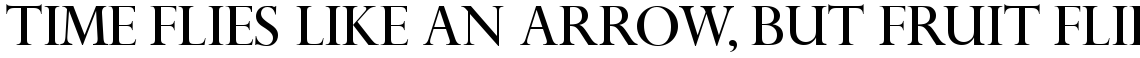 Perpetua Titling Roman