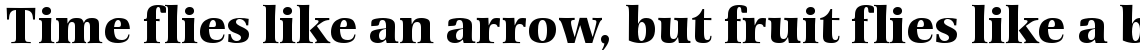 Photina Bold