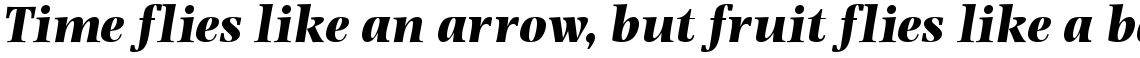 Photina Bold Italic