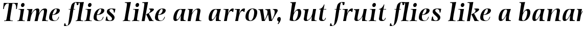 Photina Semi Bold Italic Expert