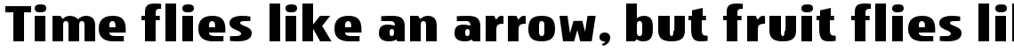 Storm Sans Bold
