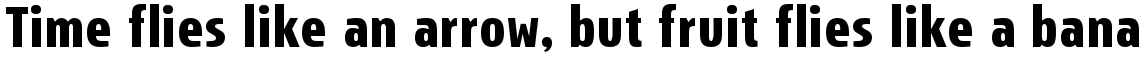 Storm Sans Condensed Bold