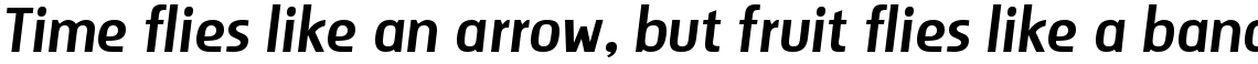 Storm Sans Italic