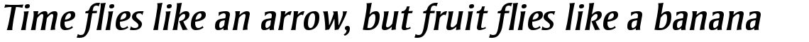 Strayhorn Italic